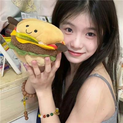 我的阿米什人双重生活